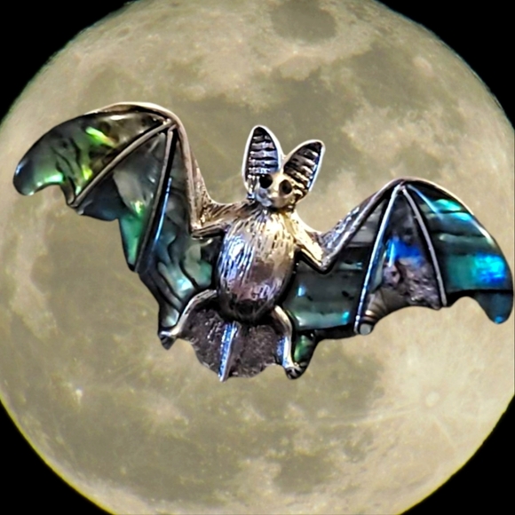 NWT Natural Rainbow Abalone Shell Silver Vampire Bat Necklace Pendant or Brooch - Picture 3 of 7
